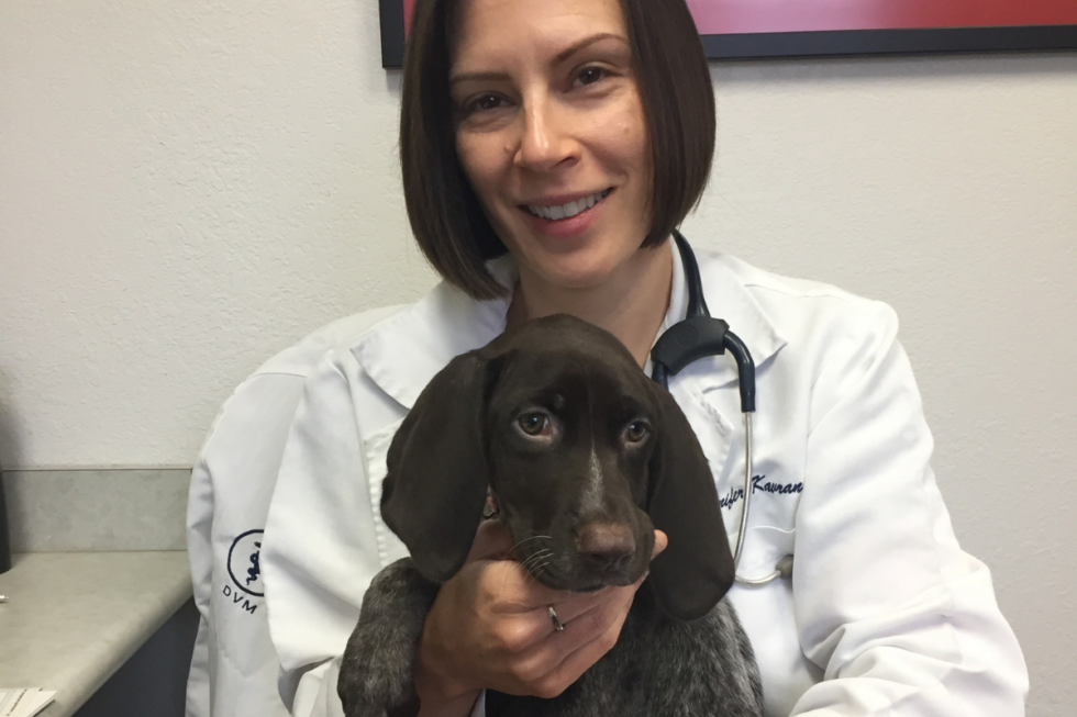 Companion Care Plans Companion Animal Hospital